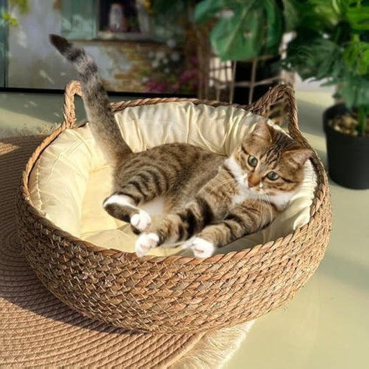 Natural Woven Cat Bed With Soft Cushion, Handmade Braided Cattail Leaf Pet House, Eco-Friendly Straw Nest